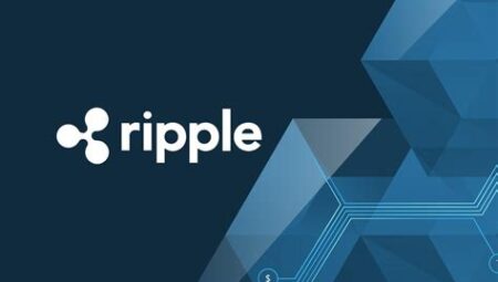 Ripple Nedir ve Nasıl Çalışır? 2024 Güncel Rehberi